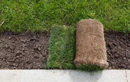 Landscaping & Garden Design